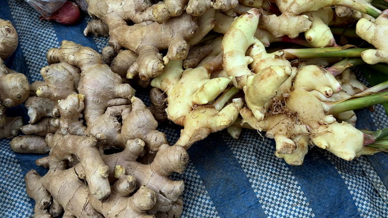 Top 3 Fresh Ginger Suppliers in China in Quarter 3 of 2025 – Market Analysis & Export Insights