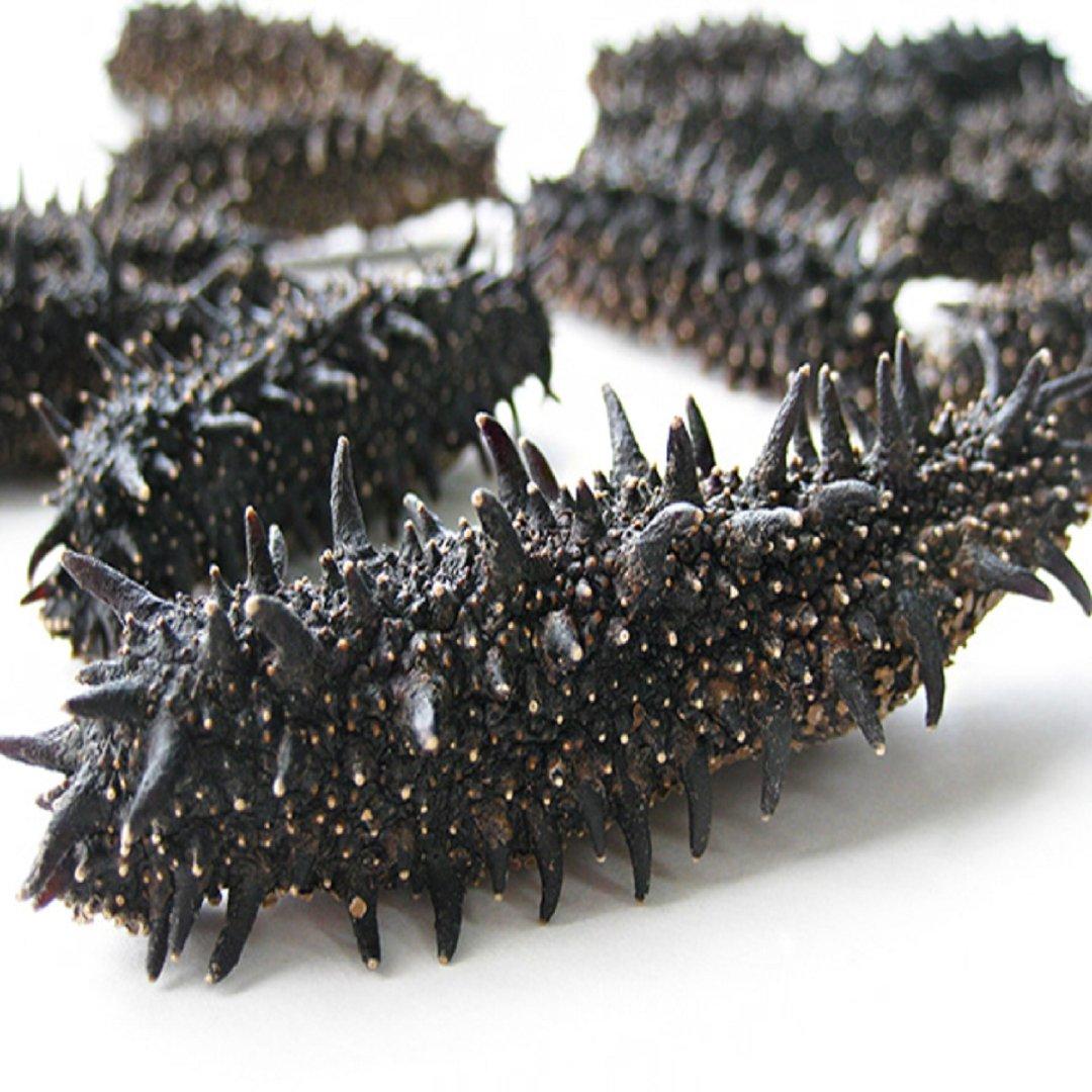 Dried Sea Cucumber