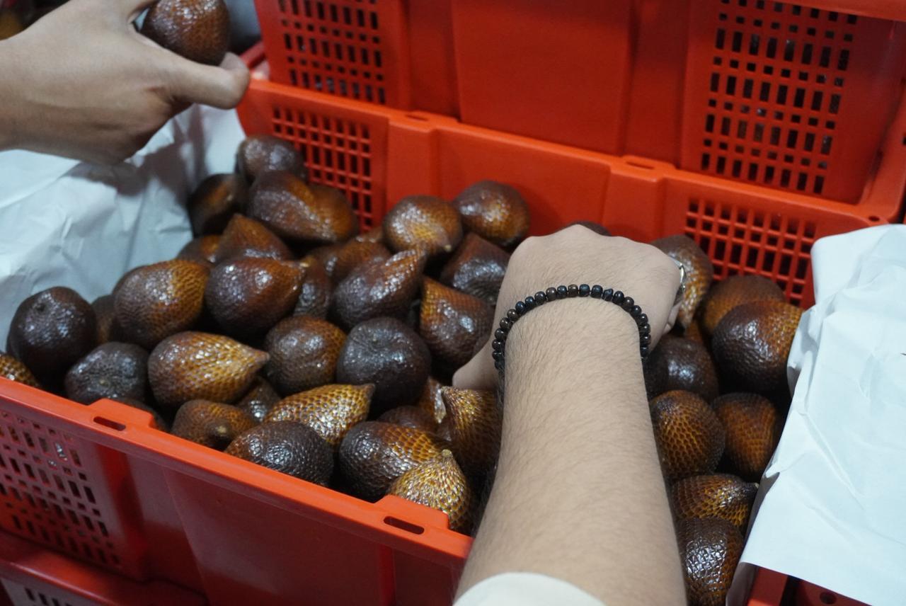 High quality Salak Pondoh fruit