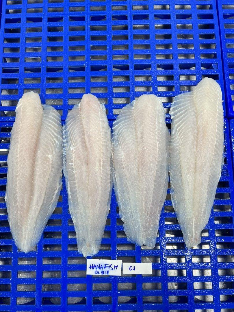 PANGASIUS FILLETS FROZEN