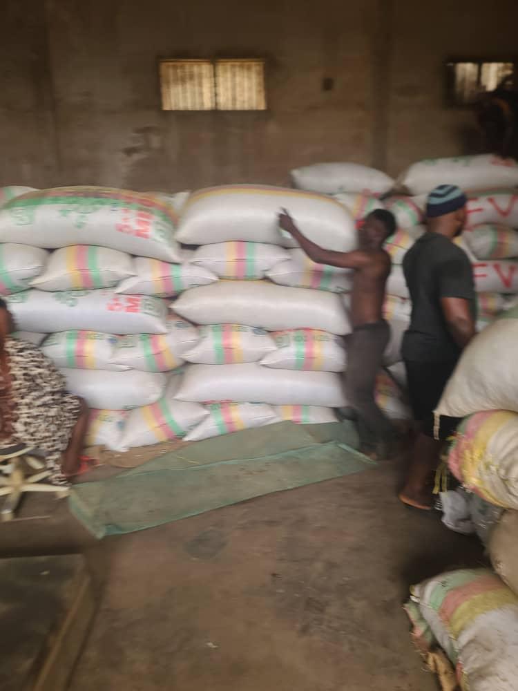 Cocoa Beans Image 2
