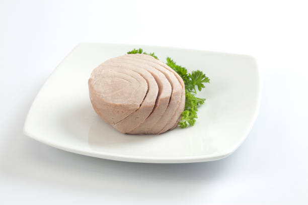 Top 9 Tuna Suppliers in Spain in Year 2025: A Data-Driven Guide to Smart Sourcing