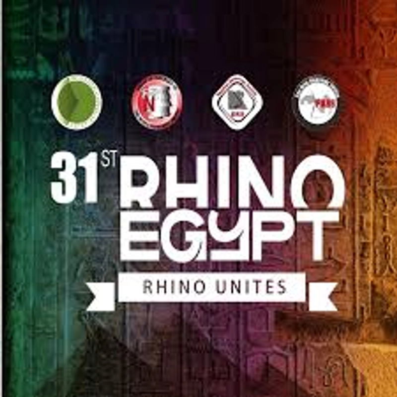 Why Rhino Egypt Matters for B2B
