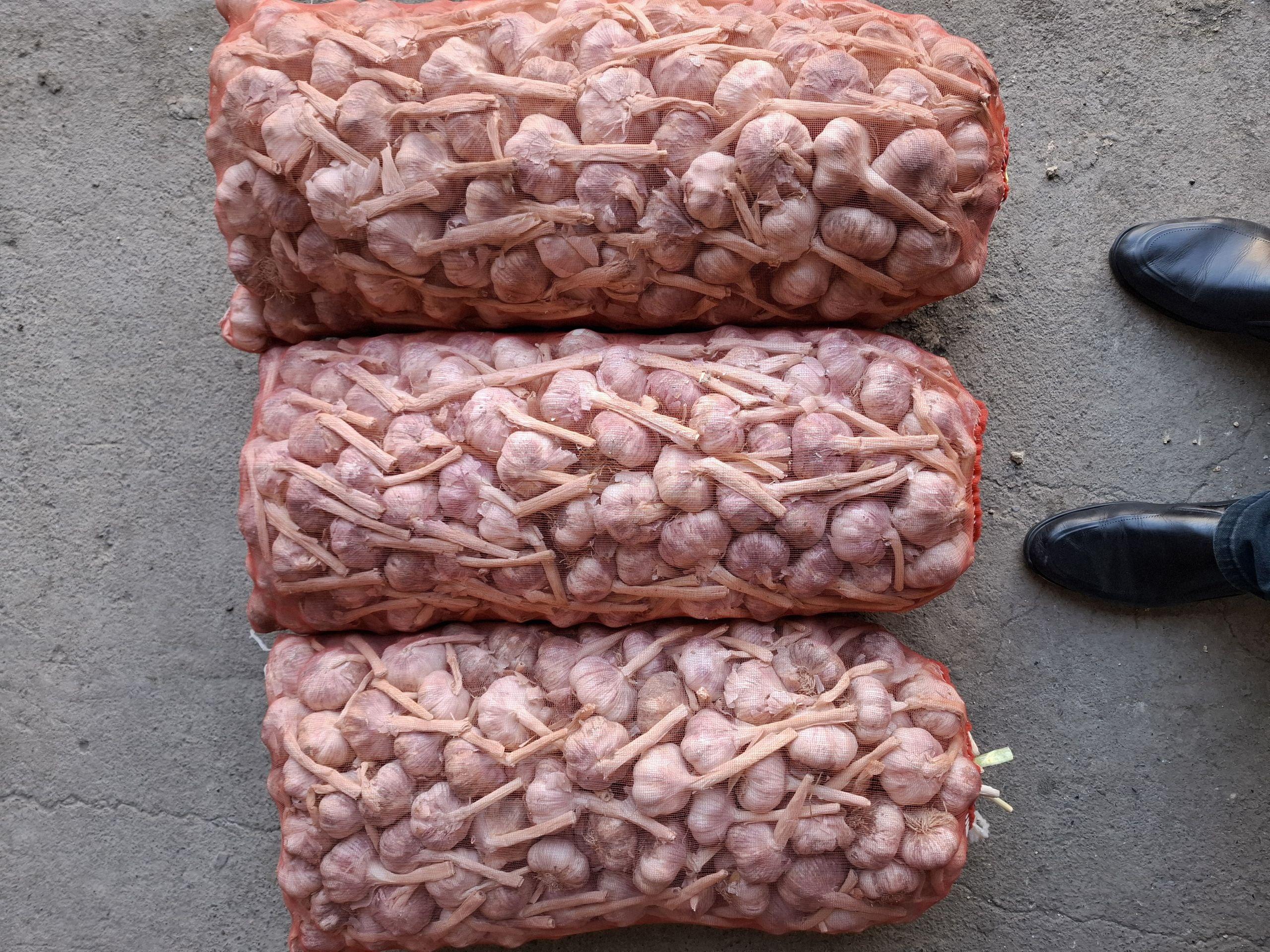 Dried Garlic Image 1