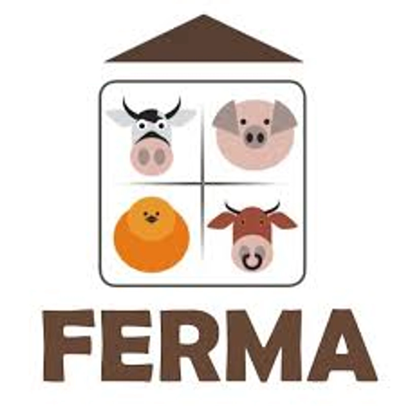 Why FERMA Matters for B2B