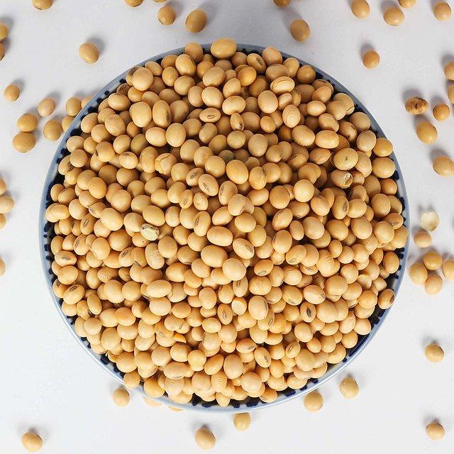 Organic Soybean Seeds/Soyabean Seeds from India at Affordable Price