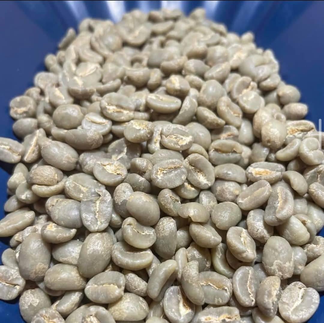 Premium ARABICA GREEN COFFEE Product - Supplier of Coffee Beans to Many Countries