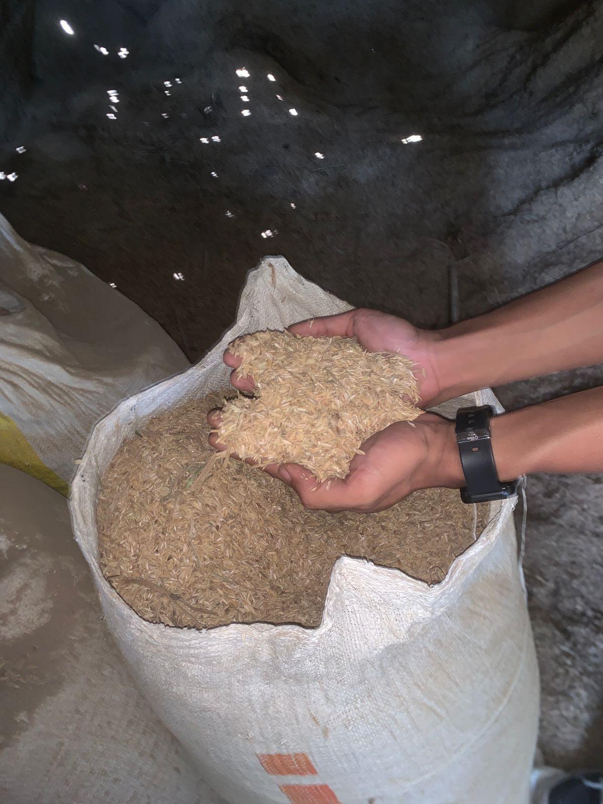 Rice Husk Max. Moisture (%) 4% Place of Origin Cianjur Origin Cianjur's Fertile Lands Primary Composition Rich In Cellulose, Lignin, And Silica