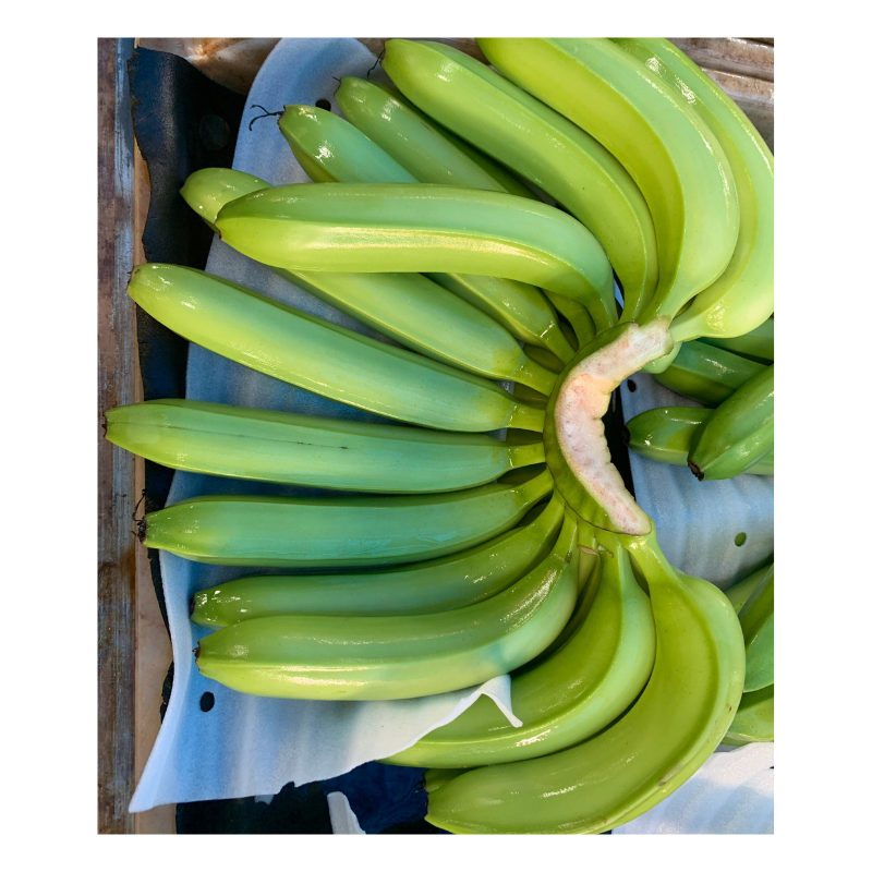 Cavendish Banana - Fresh Green Banana - Fresh Fruit And Vegetables From Vietnam With Best Price