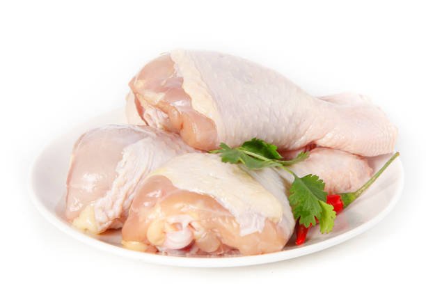 Top 10 Frozen Chicken Suppliers in Portugal in September 2025