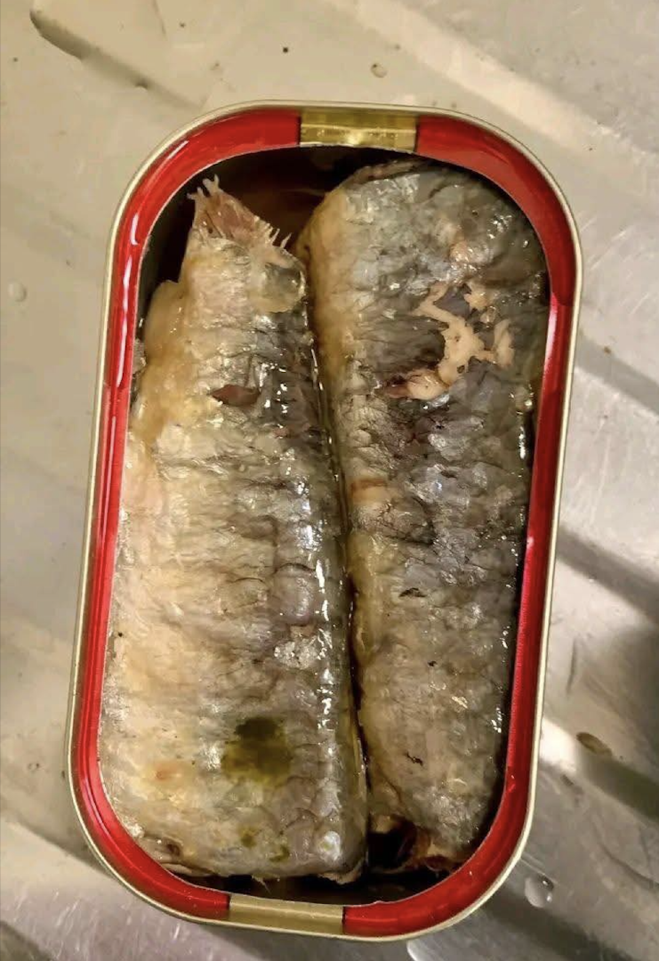 TOP Rated Seafood Titus Sardines 125g x 50 in Vegetable Oil Trusted Premium Canned Seafood Buy