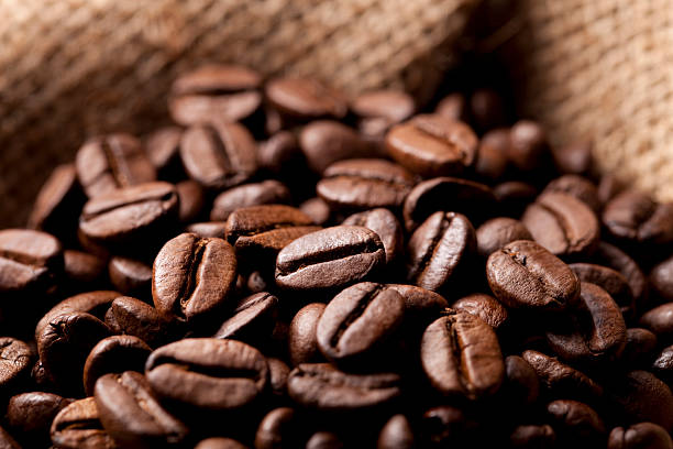 Top 4 Coffee Beans Suppliers in France in Year 2025