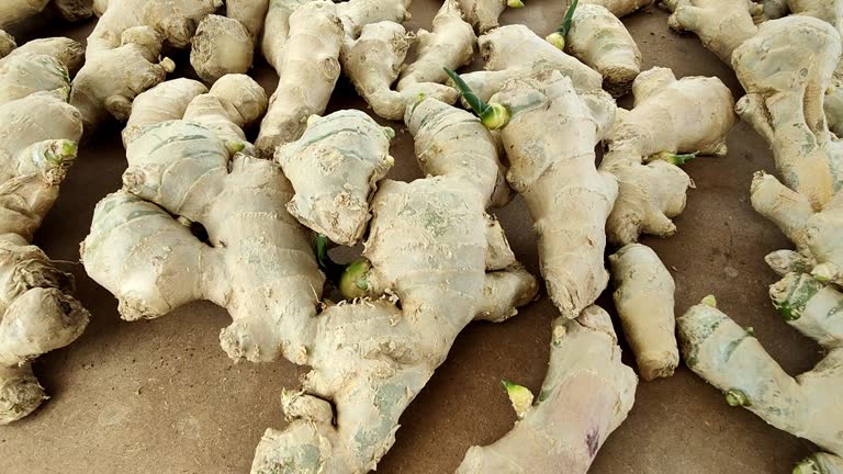 Top 7 Ginger Suppliers in Canada in July 2025 – A Data-Driven Guide to Canada’s Ginger Market