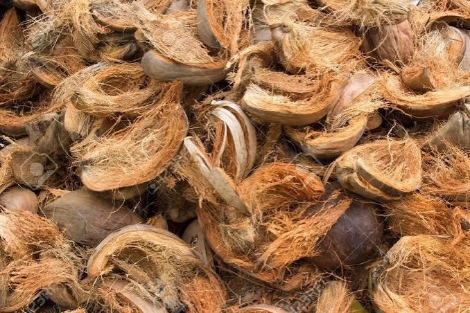 Wholesale Coconut Husk For Distribution