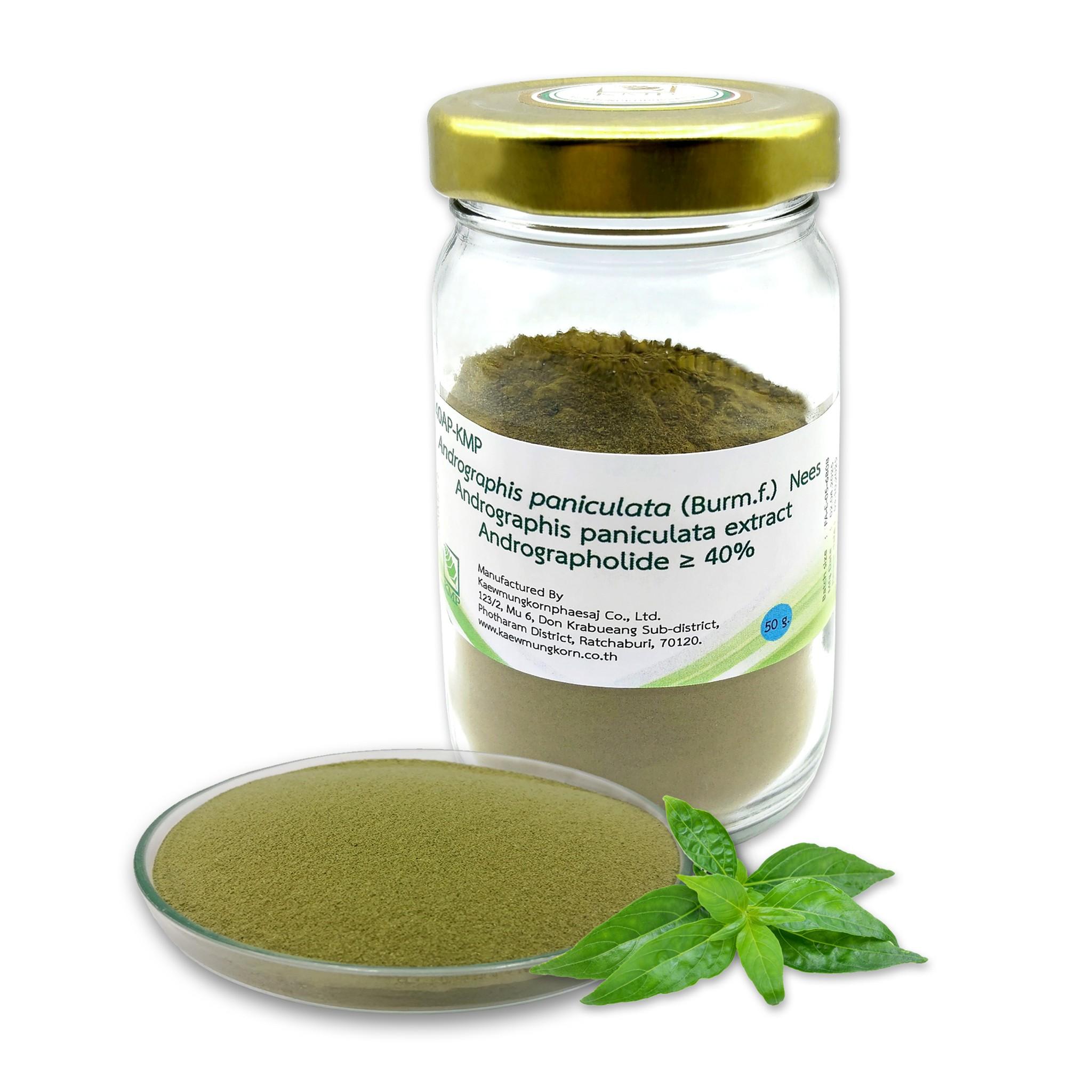 High Quality Grade 10% Andrographolide (Andrographis Paniculata Extract Powder)  Wild Cultivated Thailand Herbal Extract