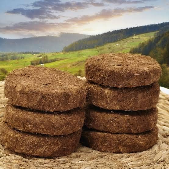 Natural Cow Dung Manure