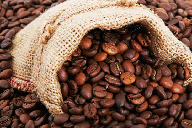 Coffee Bean Brazil: Top 7 Coffee Bean Suppliers in Brazil in Week 02 of 2025