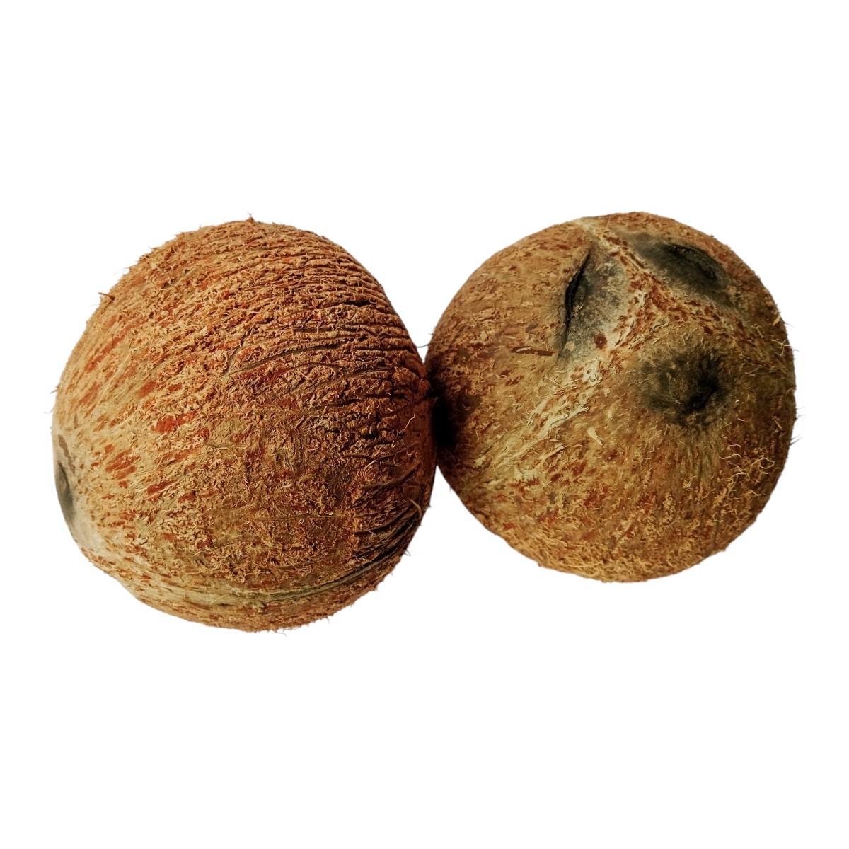 Husked Coconut/Semi-husked Coconut