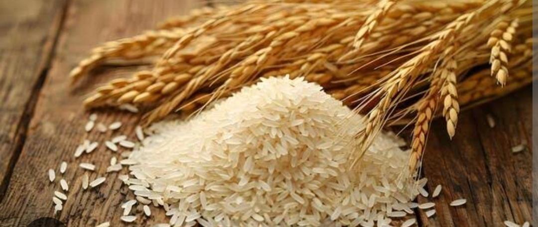 Basmati Rice