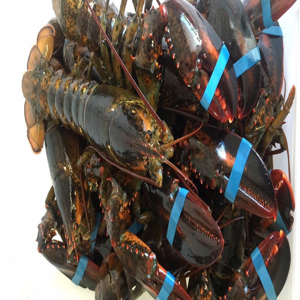 Frozen Fresh Jumbo Size Live Rock Lobster Green Lobster with Whole Tail in Box Cooked and Dried Styles for Food