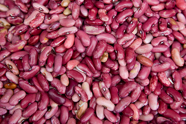 A Comprehensive Guide to Sourcing High-Quality Bean: Top 8 Bean Suppliers in Bangladesh in Quarter 3 of 2025