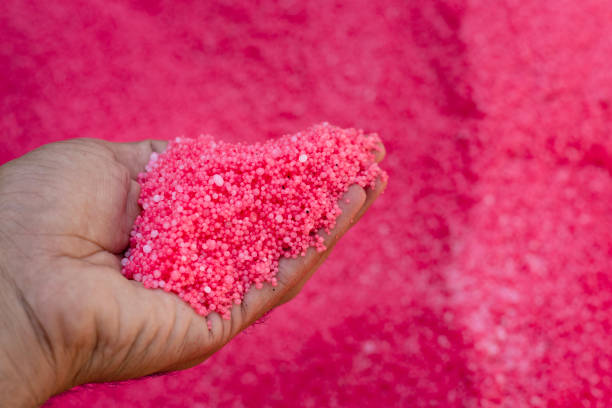 Top 7 Urea Suppliers in United Arab Emirates in Year 2025