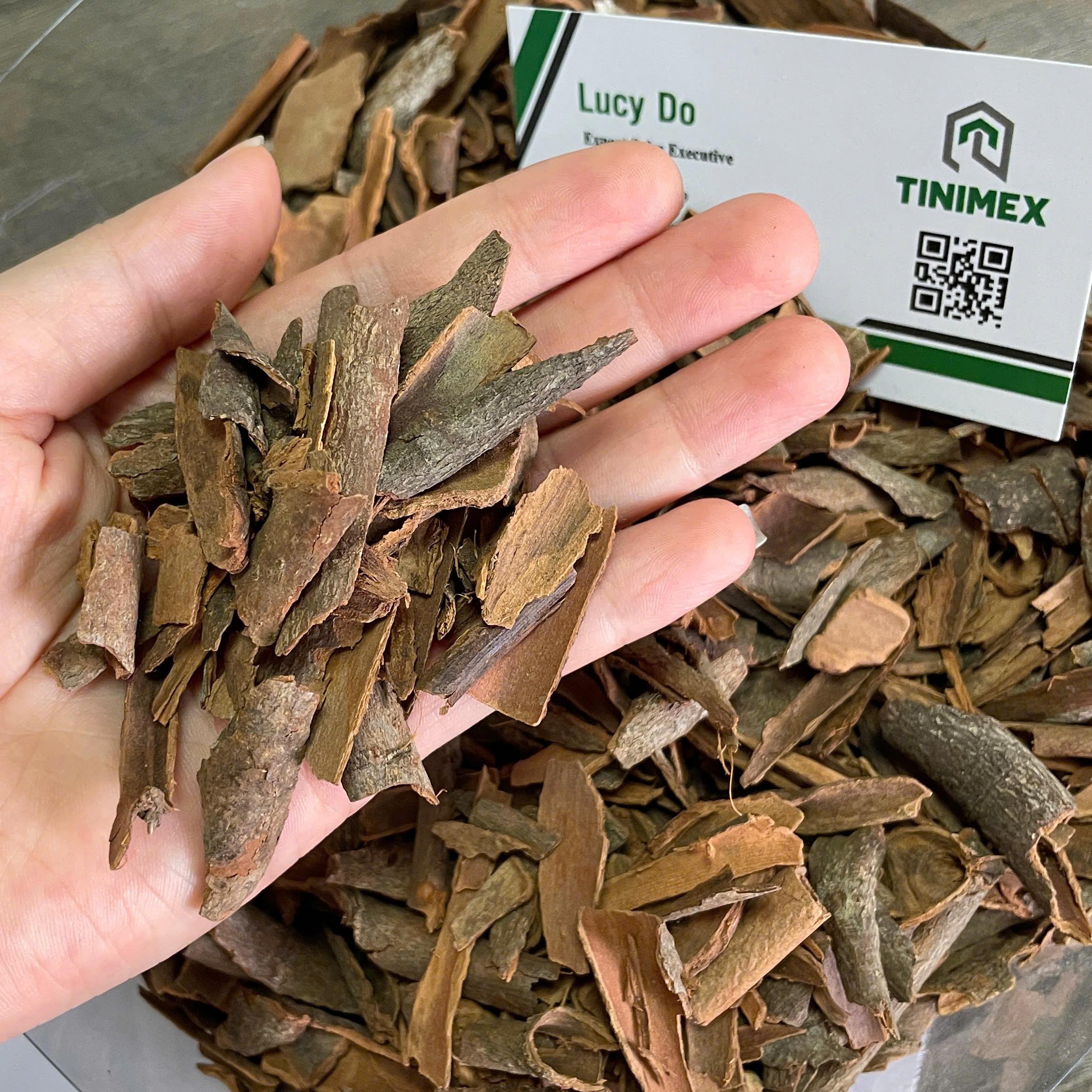 Discover the Top 9 Cinnamon Suppliers in Vietnam - 1