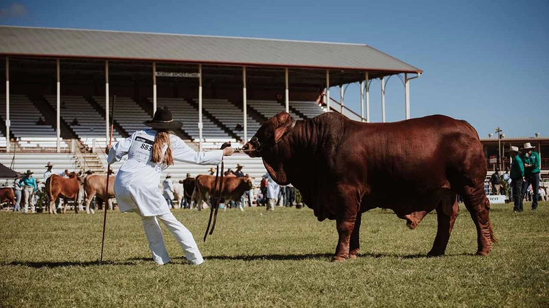 Unlock BEEF AUSTRALIA: Must-Know B2B Event - 2