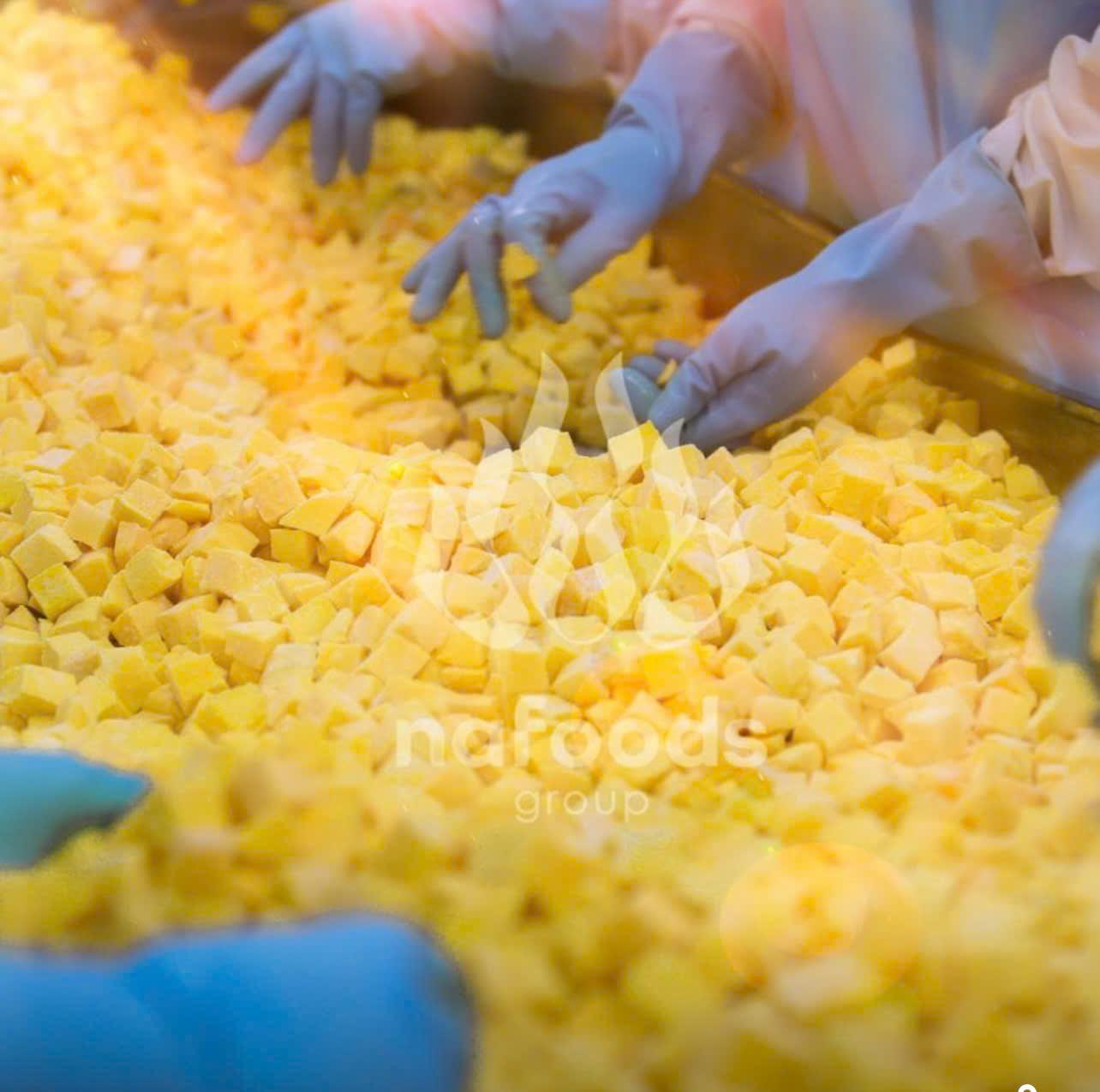 High quality IQF Mango from Nafoods Vietnam