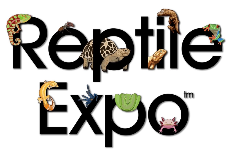 Discover New England Reptile Expo: B2B Event Guide