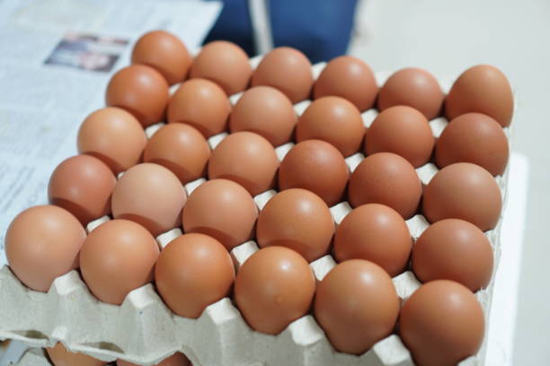 Your Expert Guide to Procuring Top-Tier Eggs: Top 5 Eggs Suppliers in Germany in Year 2025