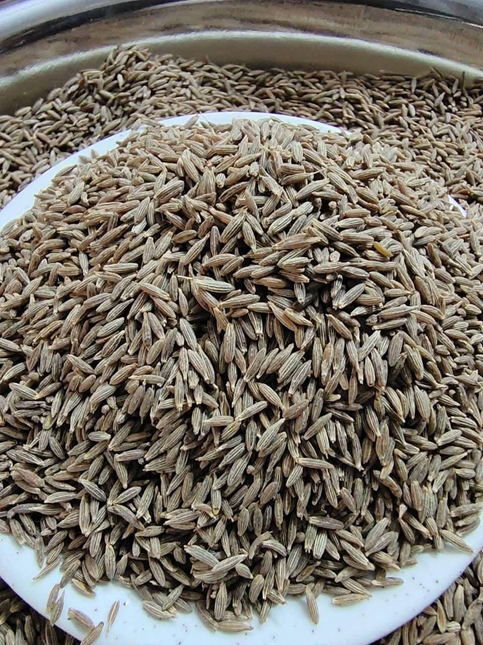 Cumin Seeds