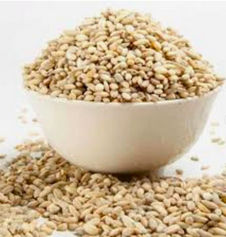 Barley Grains Premium Barley Seeds/Animal feed barley/bulk barley grains Malted Barley Malt grain For Sale