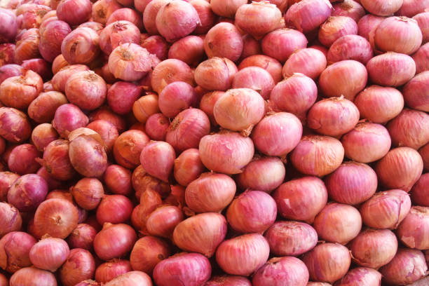 Your Expert Guide to Procuring Top-Tier Onion: Top 4 Onion Suppliers in United Kingdom in October 2025