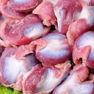Organic Frozen Chicken Gizzard Body High-quality Top Grade Bulk Packaged Certified 2 Year Shelf Life Reasonably Priced