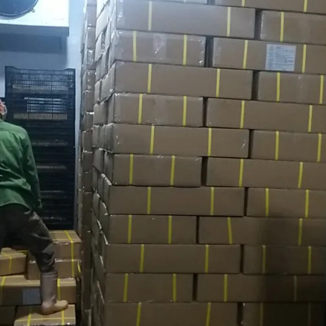 aa4f031510e54482838555de5db3b3bf
