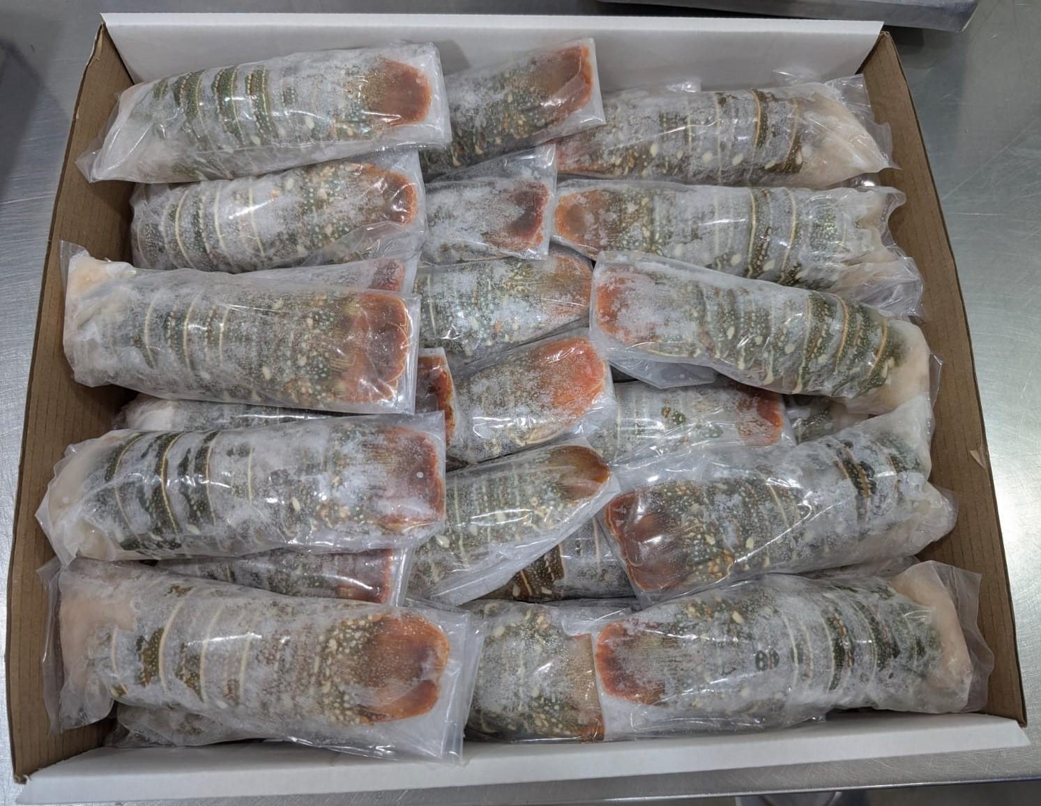 Frozen Lobster Tail IQF IWP WITH PROTECTIVE GLAZE 10LBS X 4 BOXES PER CARTON
