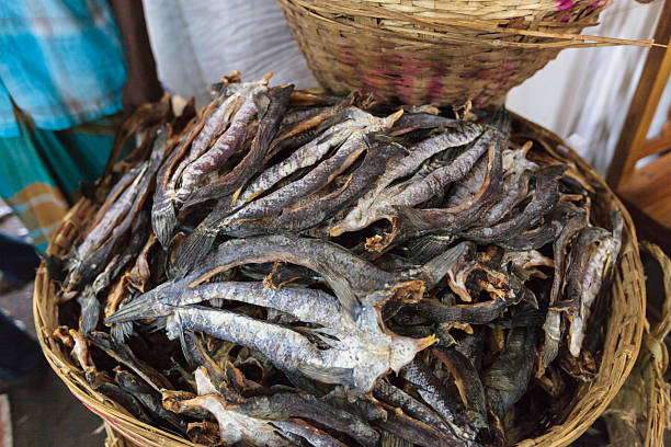 Top 8 Dried Fish Suppliers in Ukraine in Quarter 3 of 2025