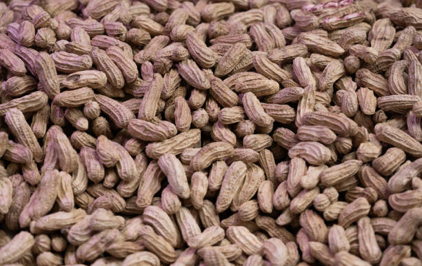 A Comprehensive Guide to Sourcing High-Quality Peanuts: Top 9 Peanuts Suppliers in United Kingdom in September 2025