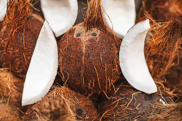 A Comprehensive Guide to Sourcing High-Quality Coconut: Top 3 Coconut Suppliers in Germany in Week 12 of 2025