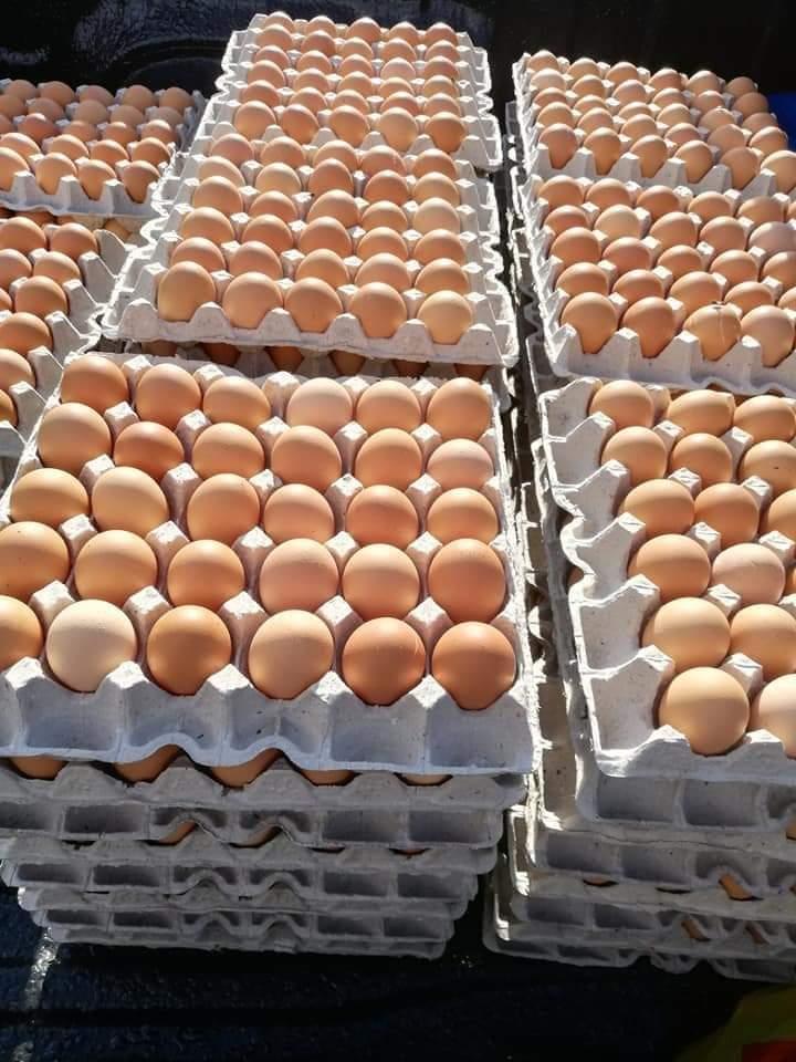 Fresh Brown Table Eggs Chicken Eggs / Fresh Chicken Table Eggs Brown and White