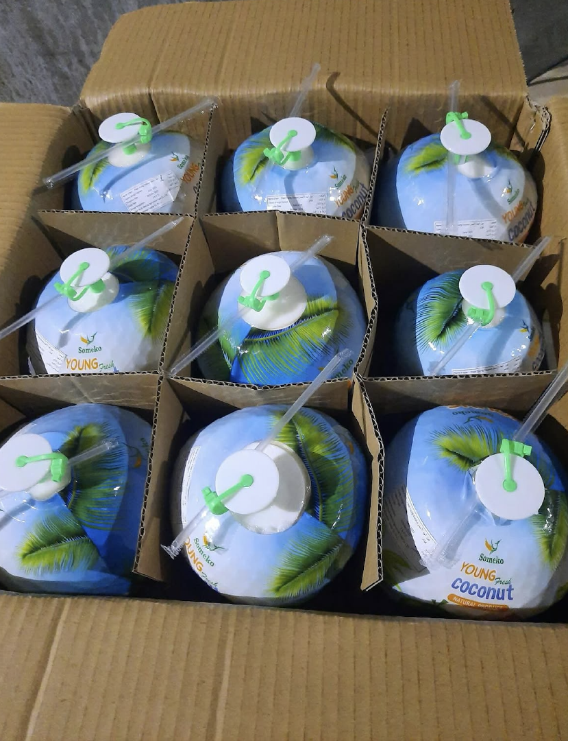 Natural Fresh Coconuts 9 Large Pieces per Carton PREMIUM FRESH TROPICAL COCONUTS 14.4kg Carton For Sale