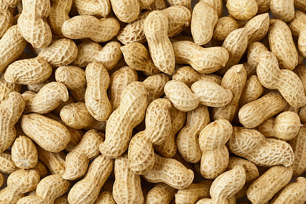 A Comprehensive Guide to Sourcing High-Quality Peanuts: Top 5 Peanuts Suppliers in Austria in Quarter 3 of 2025