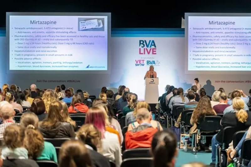 Unlock BVA LIVE: Must-Know B2B Event - 1
