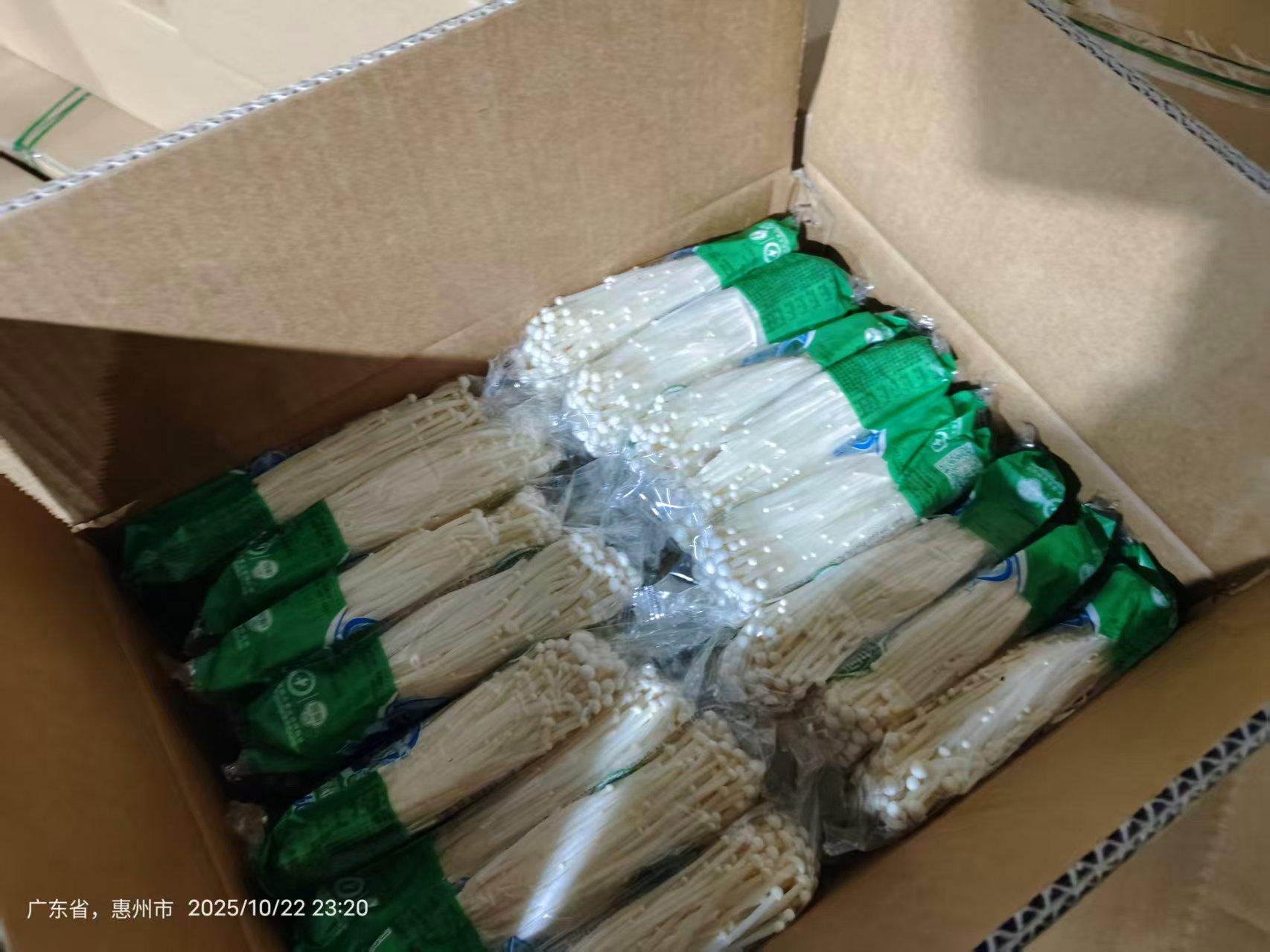 Fresh Enoki Mushroom