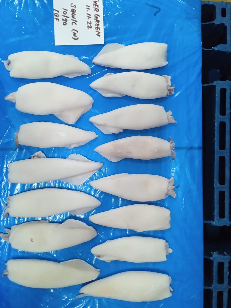 squid whole and cleaned Cut Cutlet Freshness Level Frozen Degree of Processing Other
