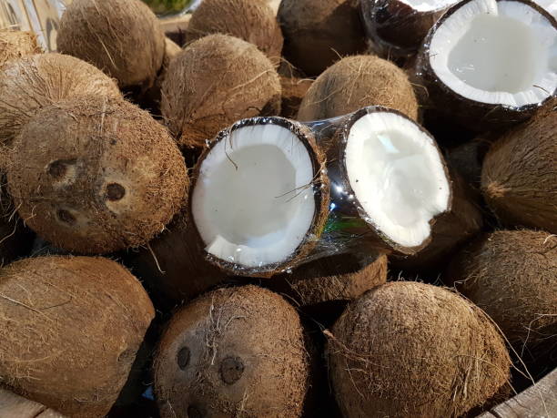 Top 9 Coconut Suppliers in Brazil in July 2025: Market Insights & Export Leaders