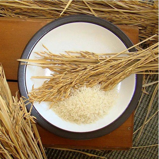 Top 7 verified Basmati Rice suppliers in United Kingdom - 9