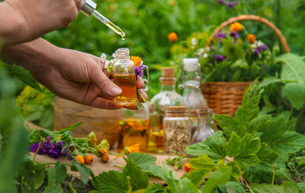 Top 7 Herbal Extract Suppliers in Kenya in September 2025: Urgent Market Update & Supplier Insights