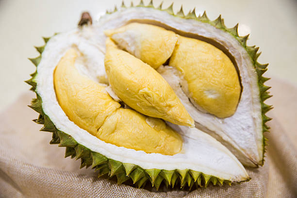 Top 6 Fresh Durian Suppliers in China in Year 2025
